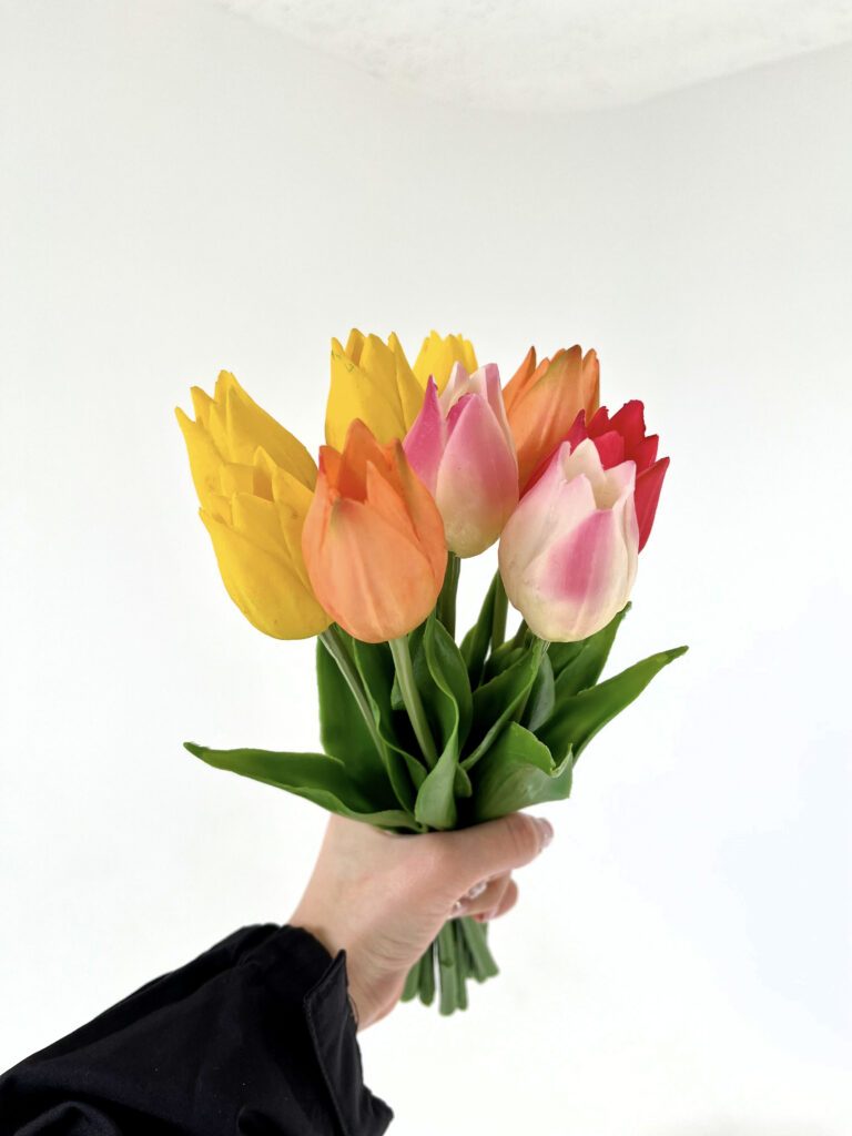 tulip
