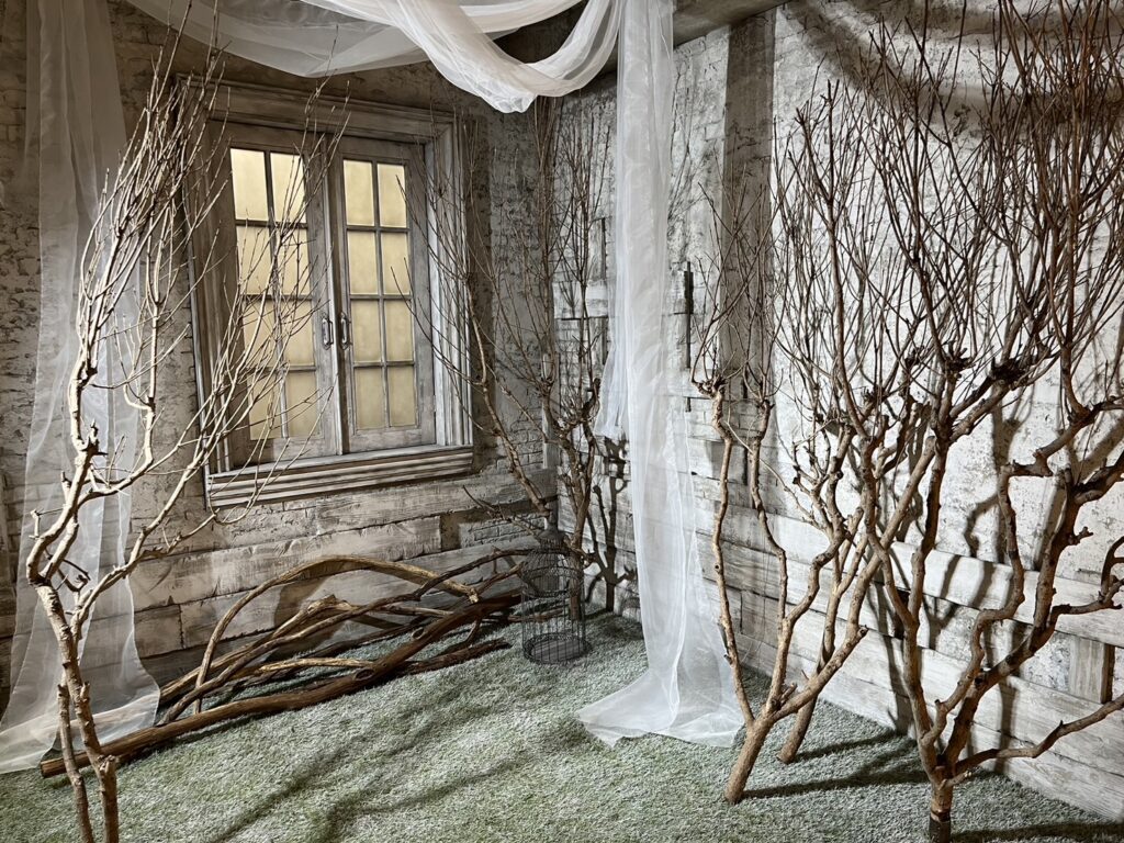 【ハロウィン特集!】限定ブースのお知らせ 1 S 2269191 0
